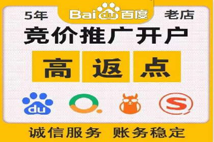 SEM投放策略优化案例分析